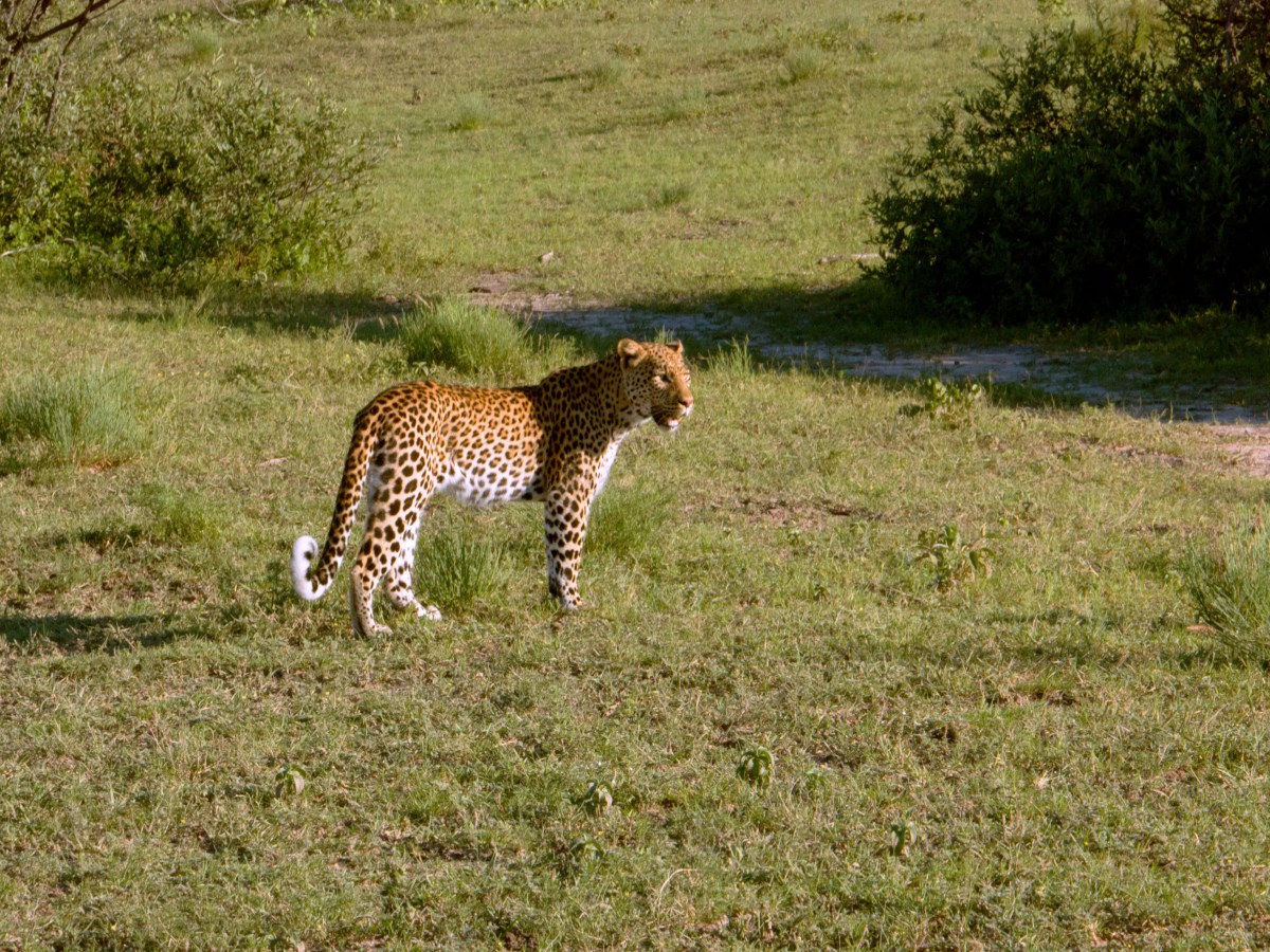 Khama Rhino Sanctuary