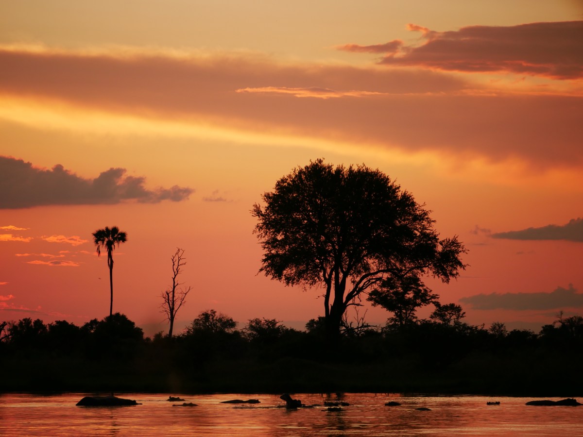 Okavango Delta