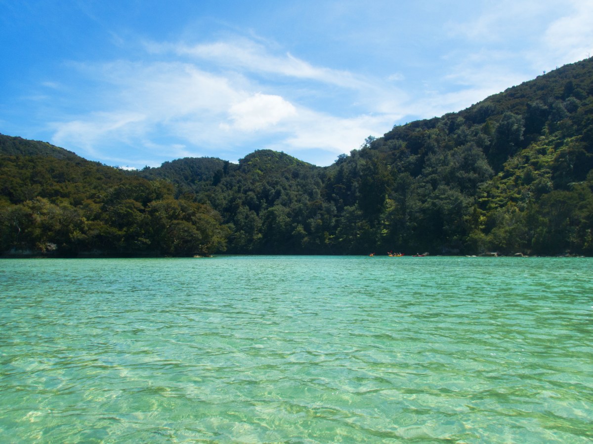 Abel Tasman