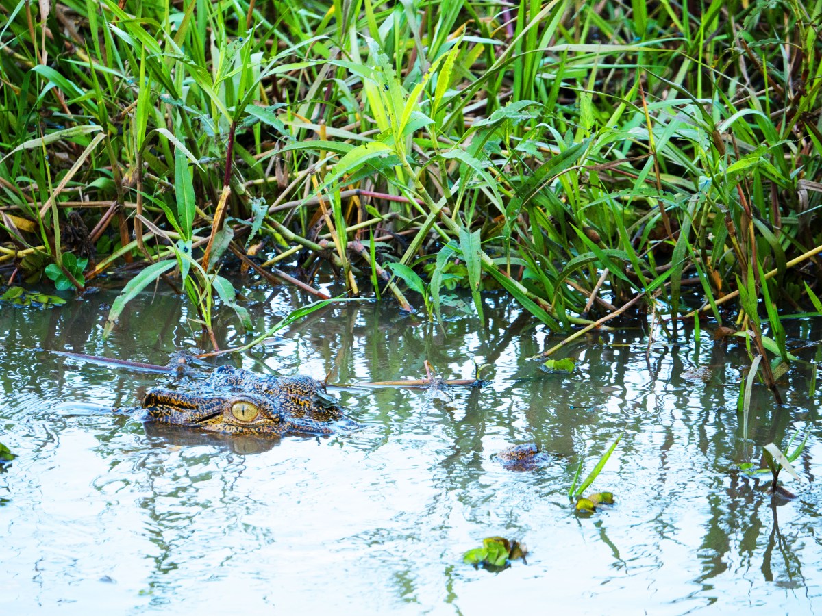 Kakadu National Park
